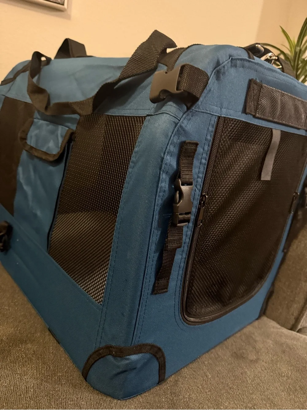 Blue Soft-Sided Small Pet Carrier